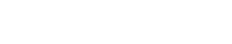NMESIS