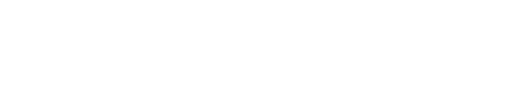 NMESIS